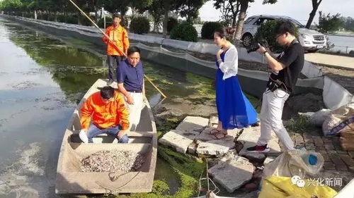 從央視到國家農業(yè)機構點贊 通威魚、海大魚、白蕉海鱸、興化大閘蟹，誰更勝一籌？